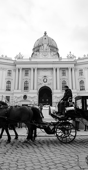 オーストリア・ウィーンでの馬車の風景写真