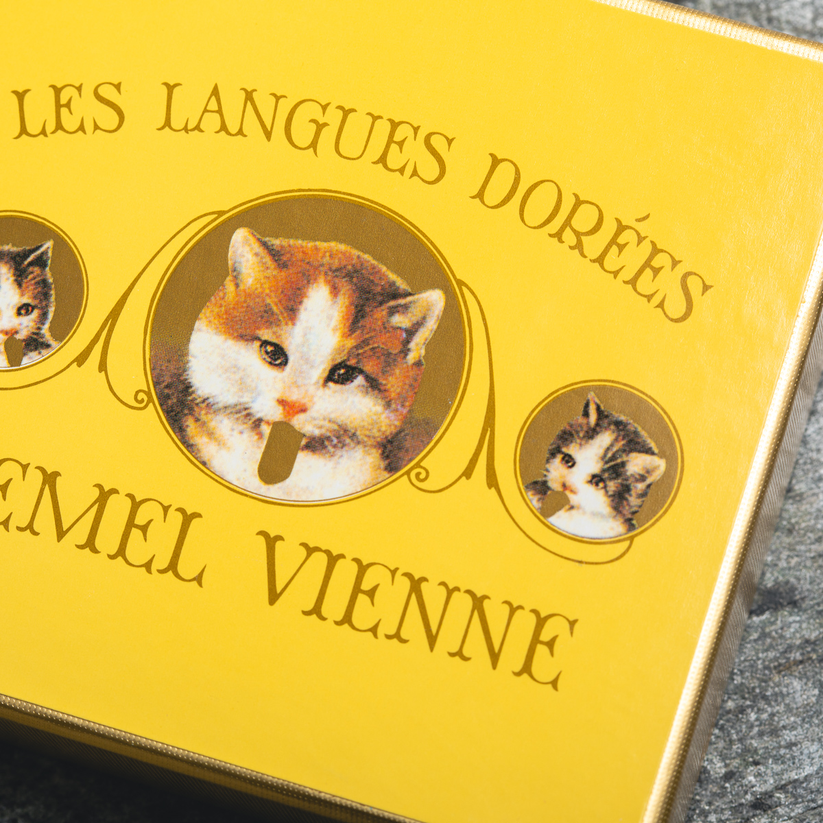 ソリッドチョコ猫ラベル スウィート